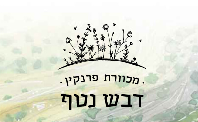 דבש נטף - web project
