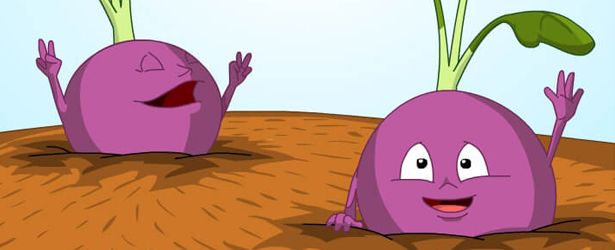 garden - illustration project