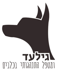 Gilad - Design project