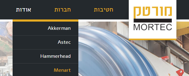 mortec - web project